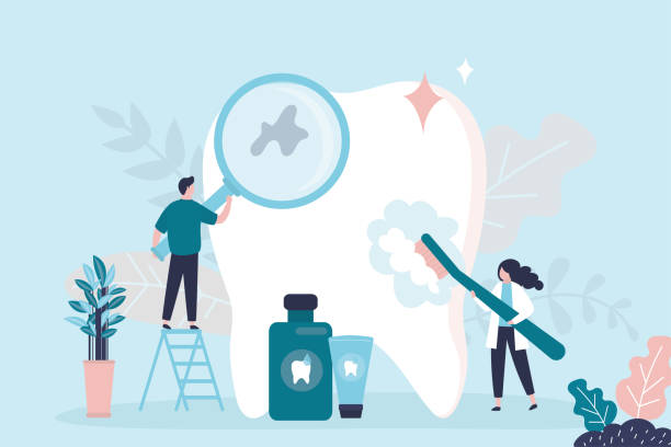 Best Preventive Dentistry  in Whiskey Creek, FL